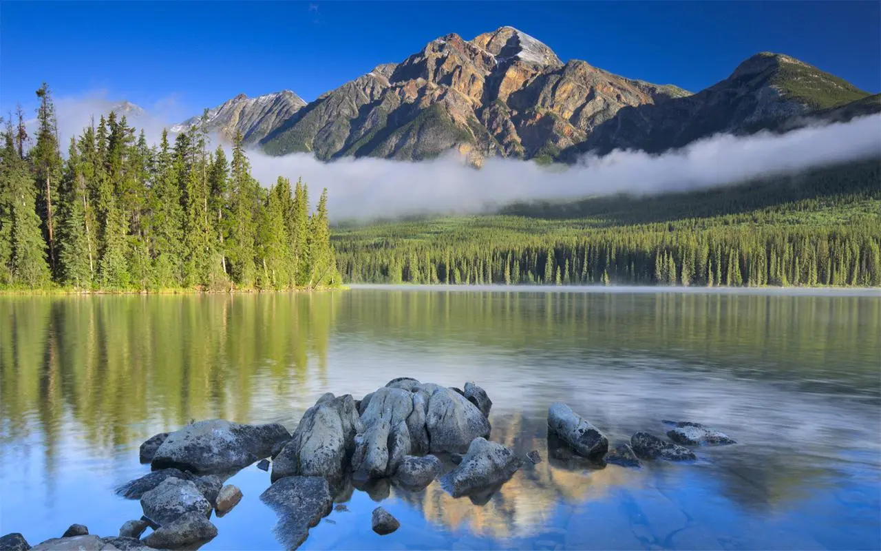 工业自动化节能